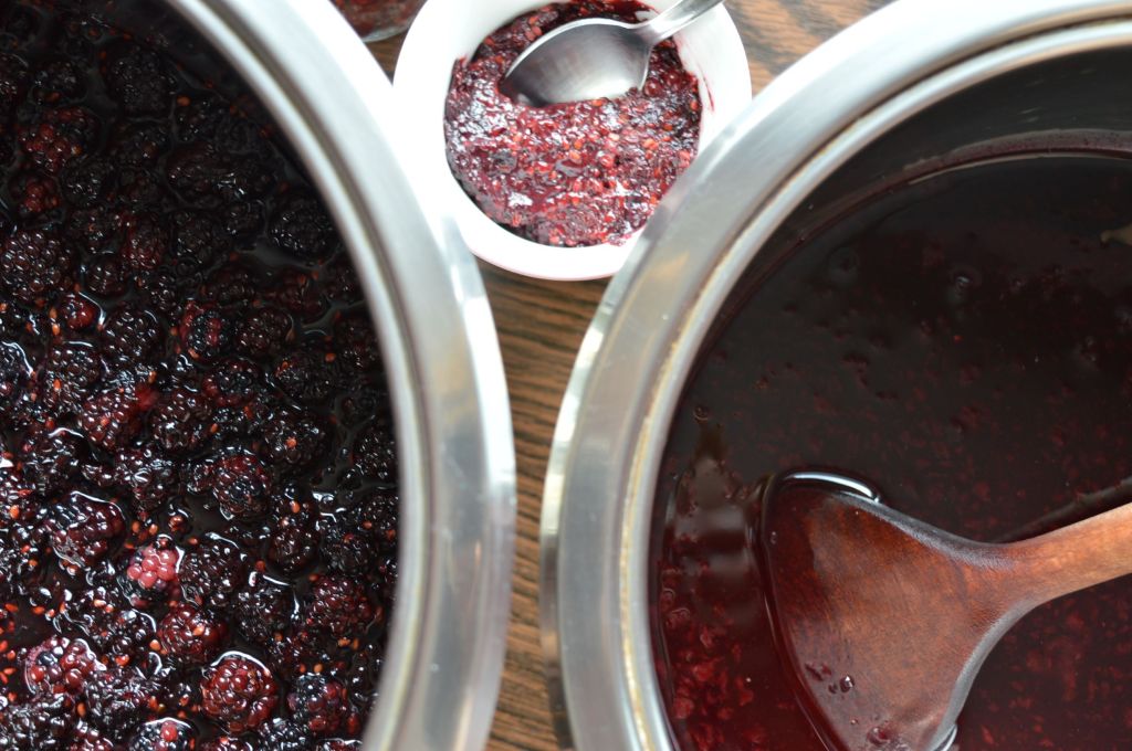 Preserving blackberries