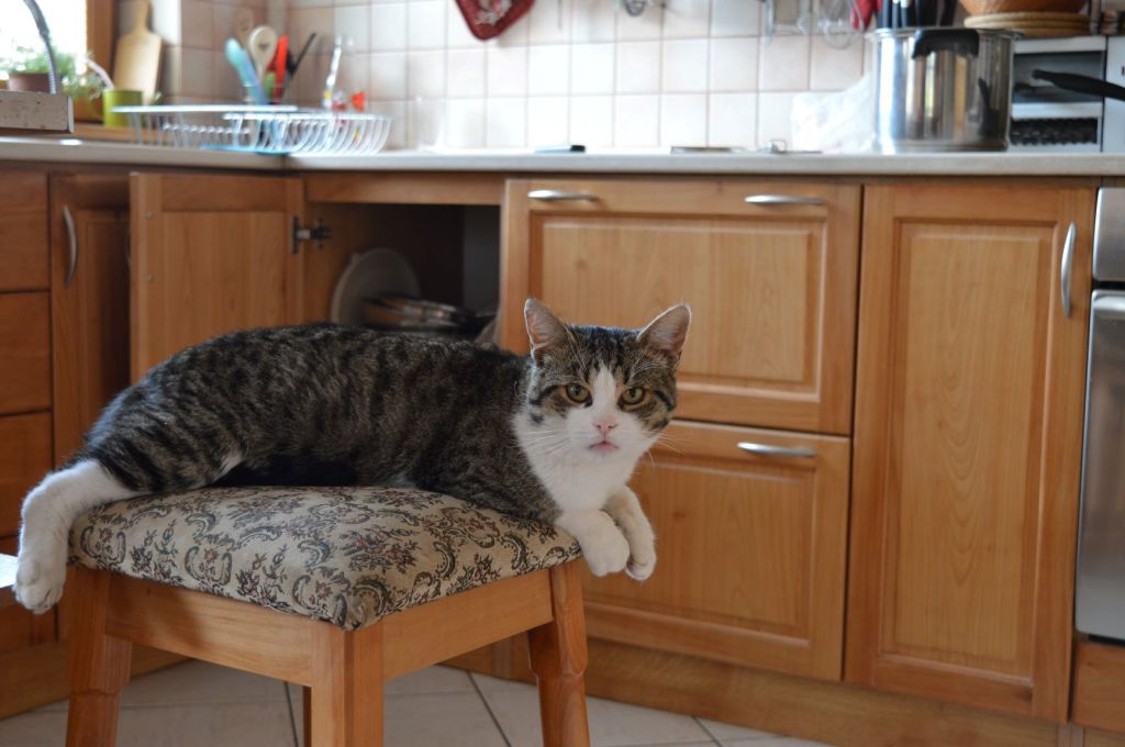 From a rural&nbsp;kitchen