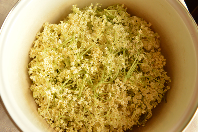 elderflowers