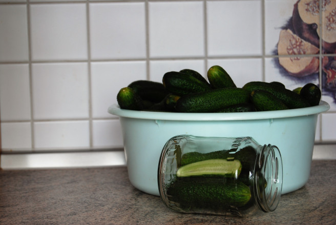 pickled gherkins