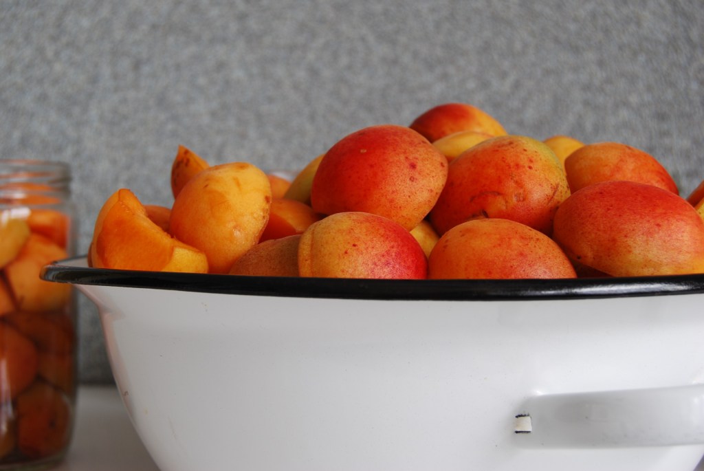 Preserving apricots
