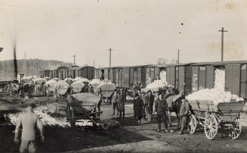 What food can teach us about our&nbsp;history