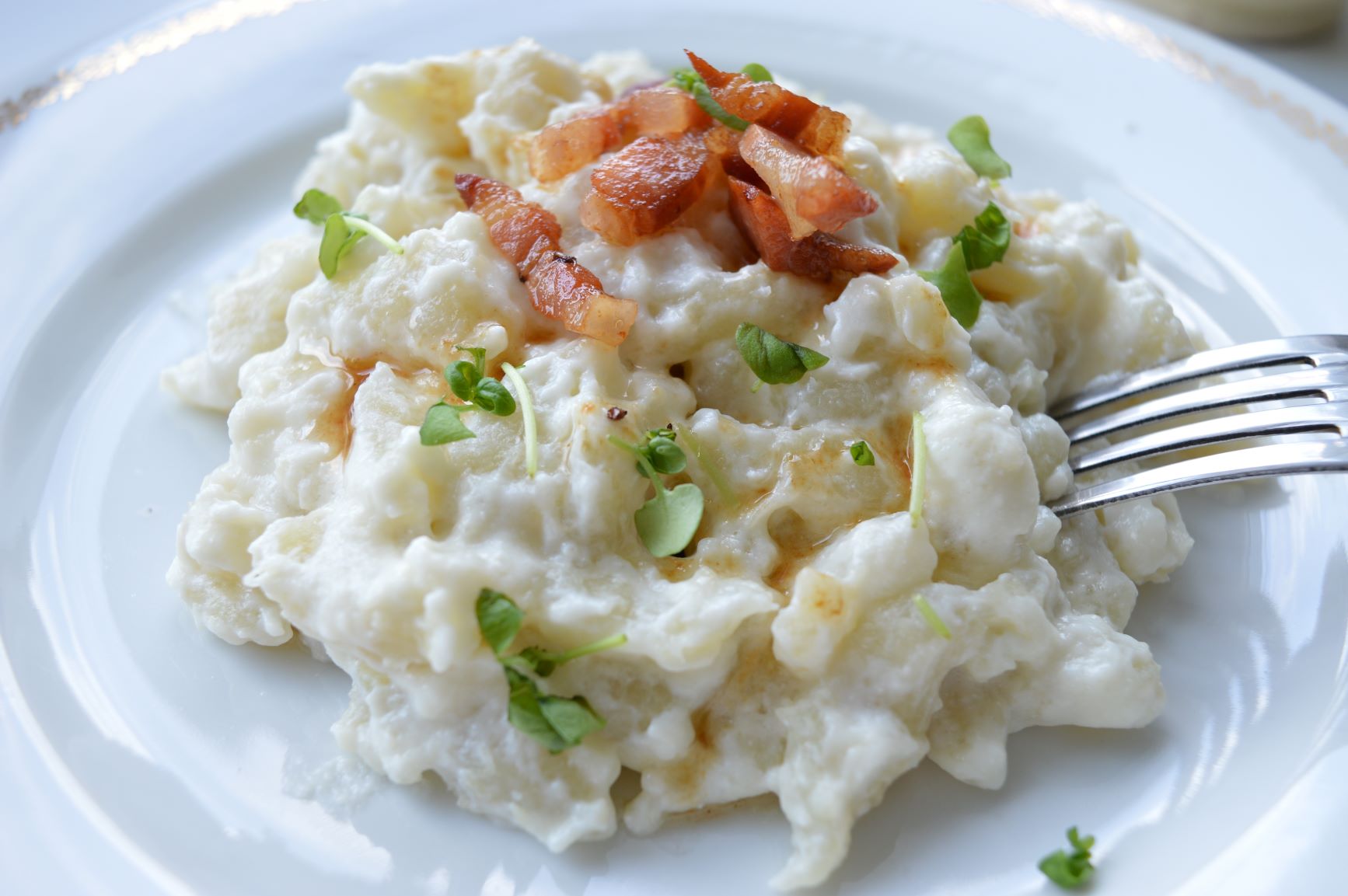 Gluten-free Halushki with Bryndza Cheese