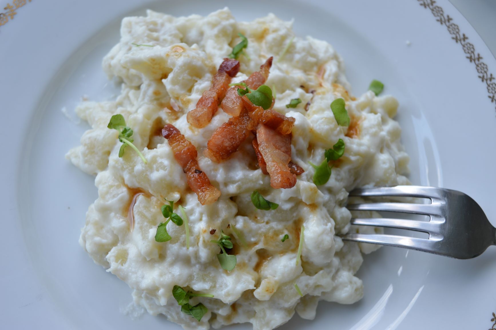 Gluten-free Halushki with Bryndza Cheese 1