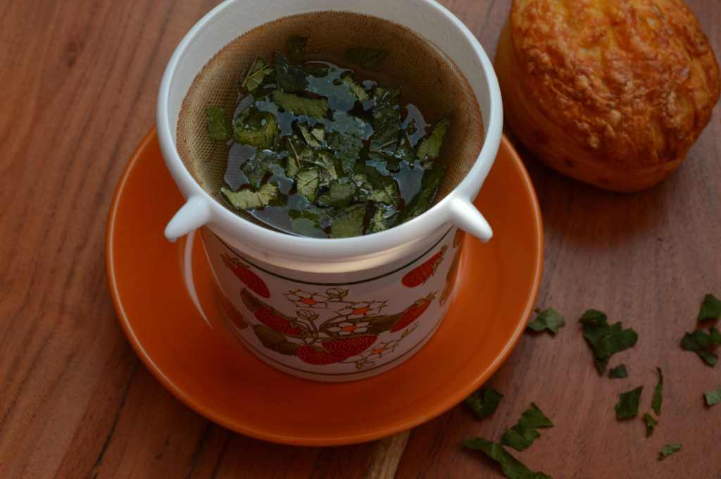 How to Make Fermented Blackcurrant Leaf&nbsp;Tea